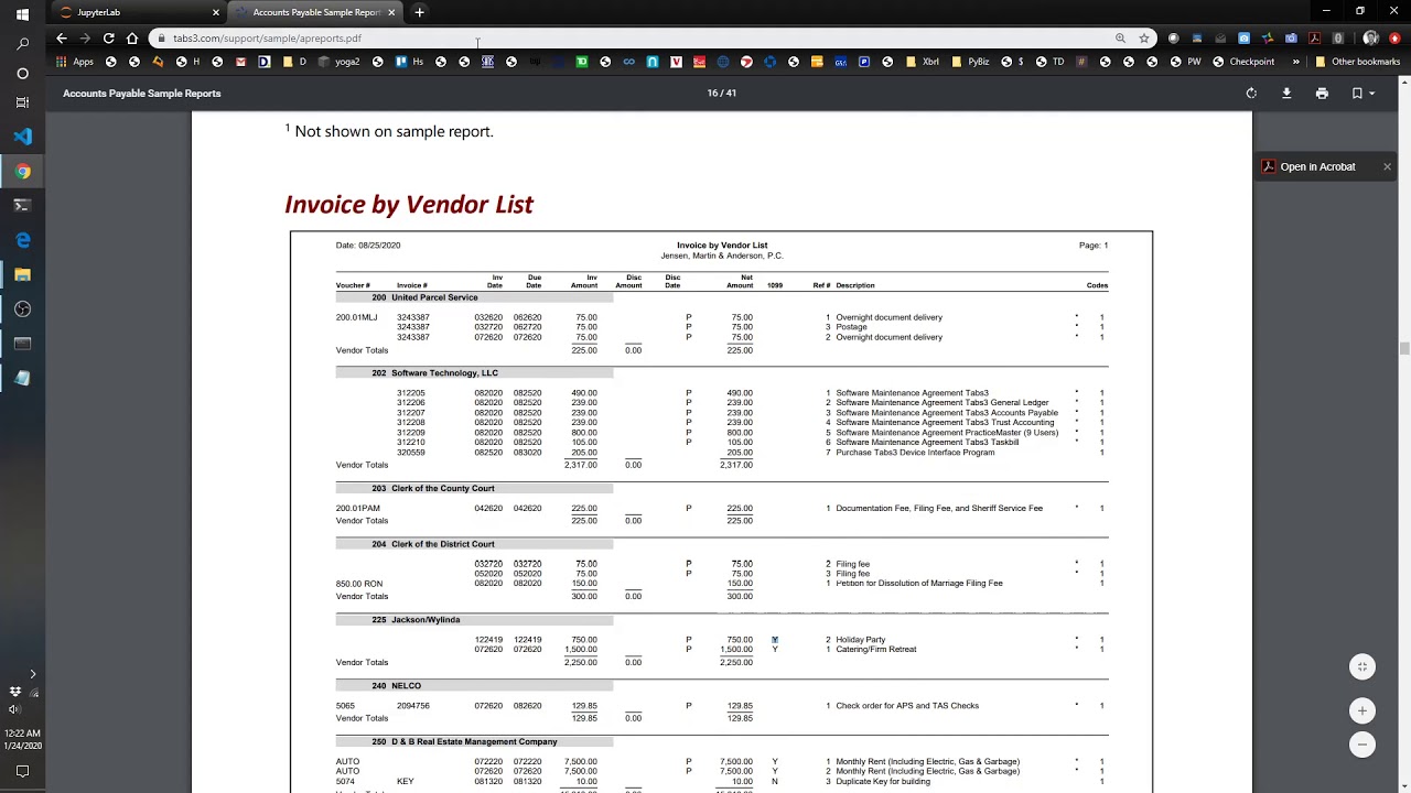 Extract Invoice Lines from PDF AP Report with Python