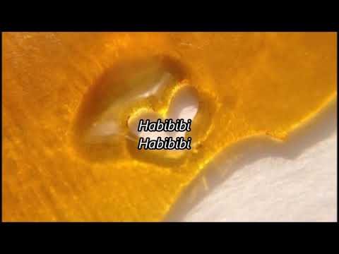 La Cebolla- Habibi (Eng Lyrics)