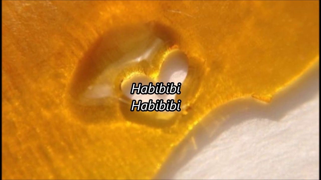 La Cebolla - Habibi (English Lyrics) 🎶 | Translated for Fans