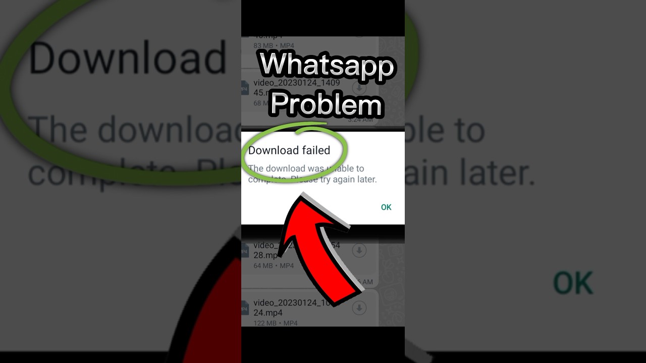 Issues Downloading Images and Videos on WhatsApp