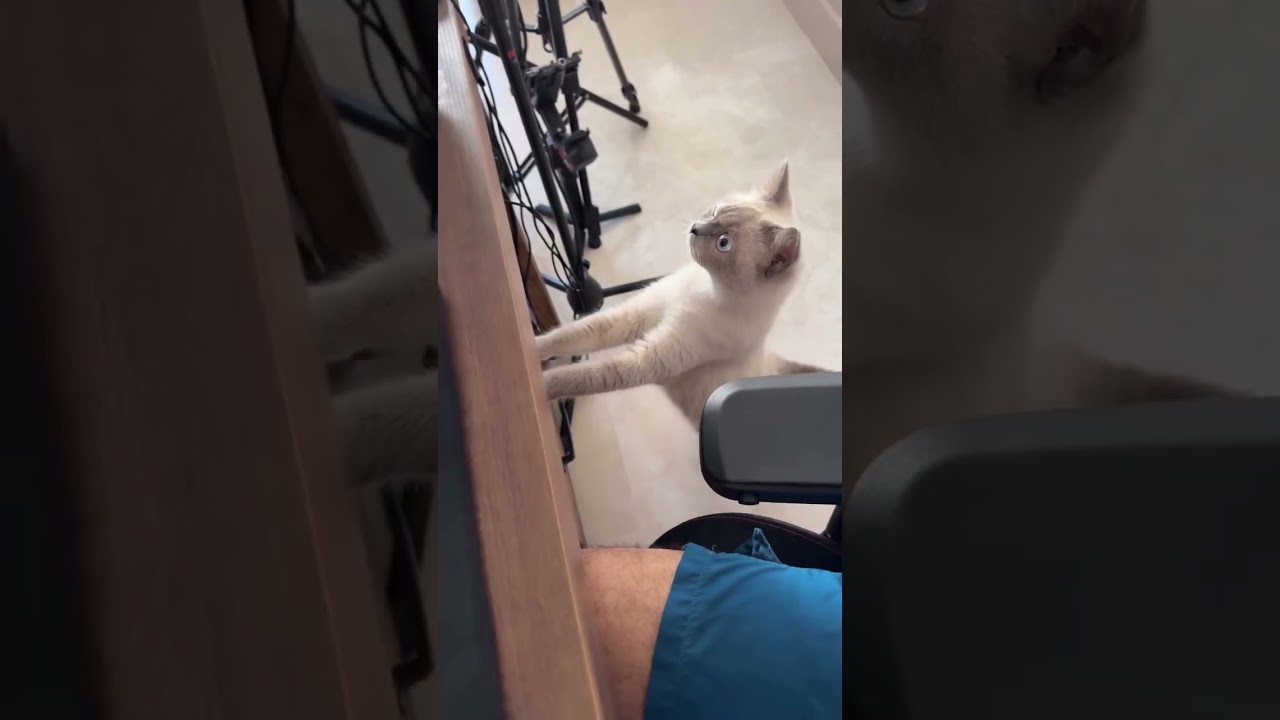 Discover the Inspiring Journey of Habbat Abdelillah ✨