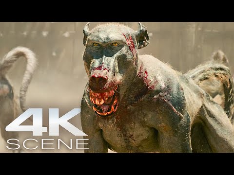 Rabid Monkeys vs Gladiators (4K Blu-ray) Fight Scene - Gladiator 2 Movie Clip