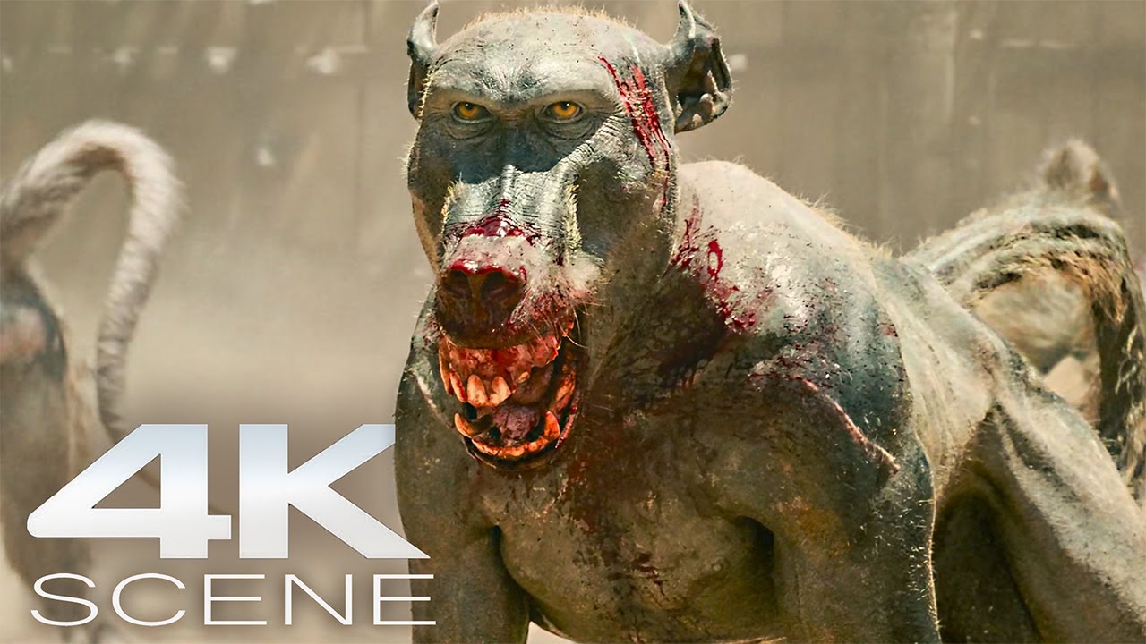 Epic 4K Fight Scene: Rabid Monkeys vs Gladiators in Gladiator 2 (2024) 🎬