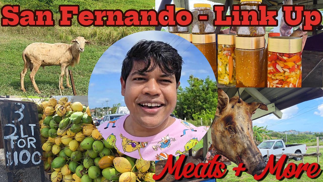 San Fernando's Famous Meat Street π₯© | South Trinidad Market