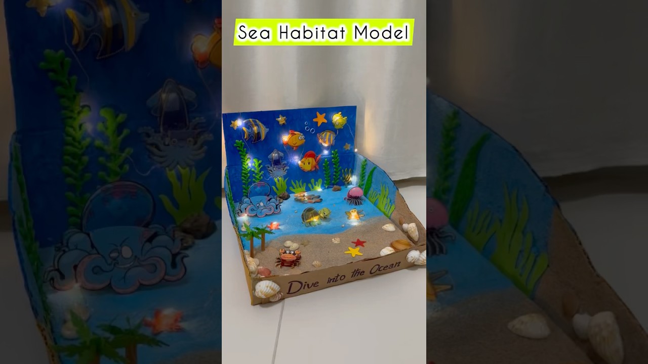 Sea Habitat School Project 🐠