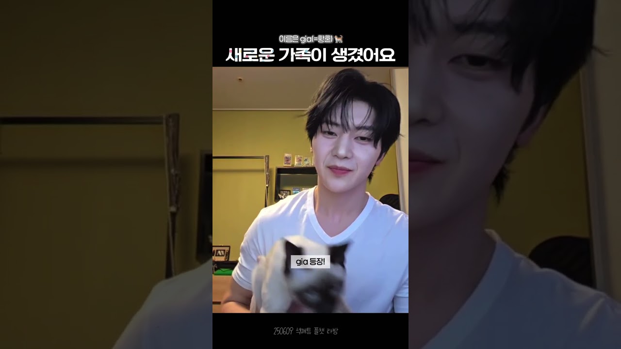 귀여운 고양이 부러워요! 🐱