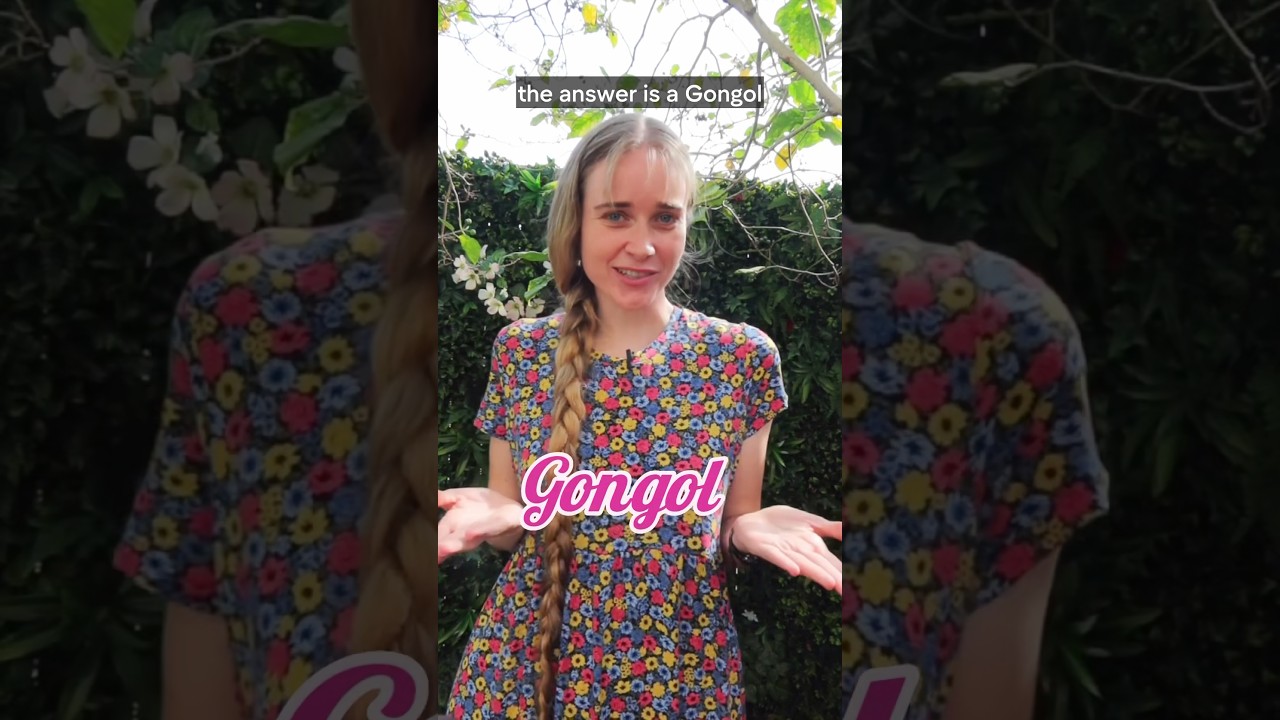 Gongol: Explore 4D – Available at tibees.com