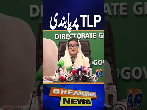 Bokhari hints at imminent decision to ban TLP ahead of federal cabinet meeting