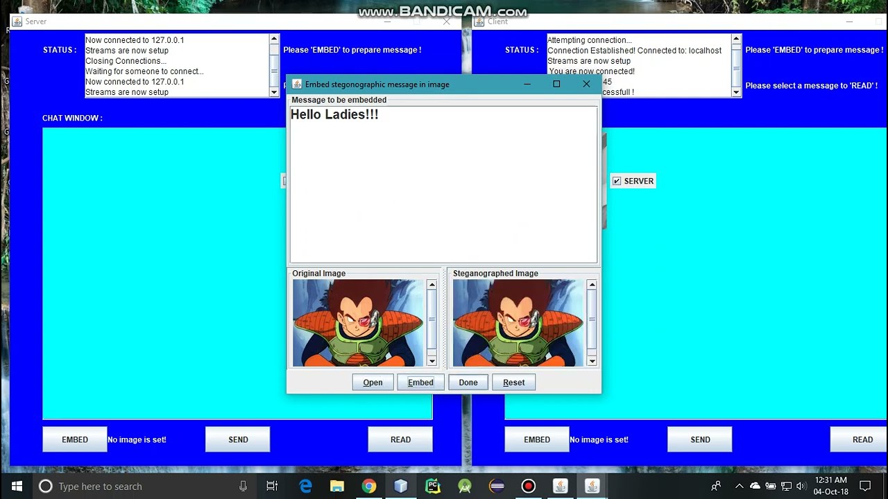 Secure Client-Server Image Steganography Desktop App in Java Swing 📷
