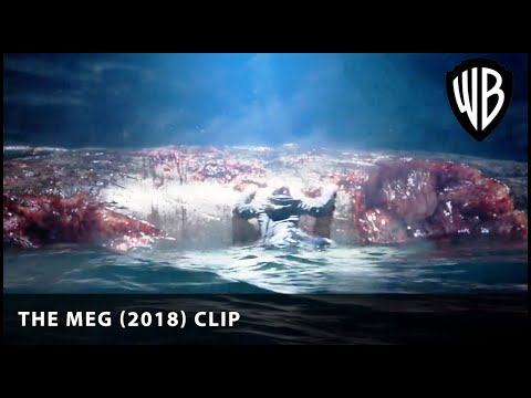 The first kill! | The Meg (2018) | Warner Bros. UK