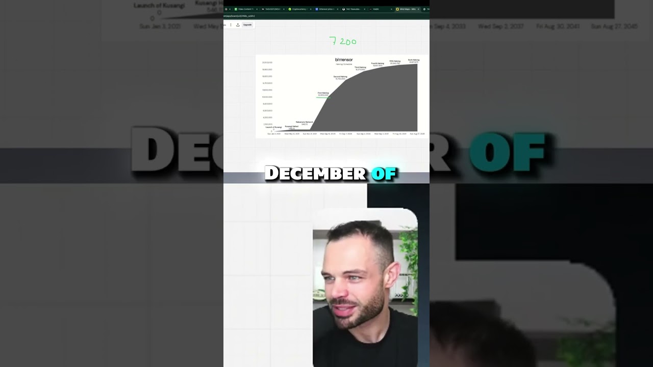 BitTensor (TAO) Halving Explained: Price Predictions & What to Expect π