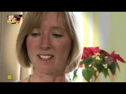 Секунды до катастрофы  Азиатское цунами