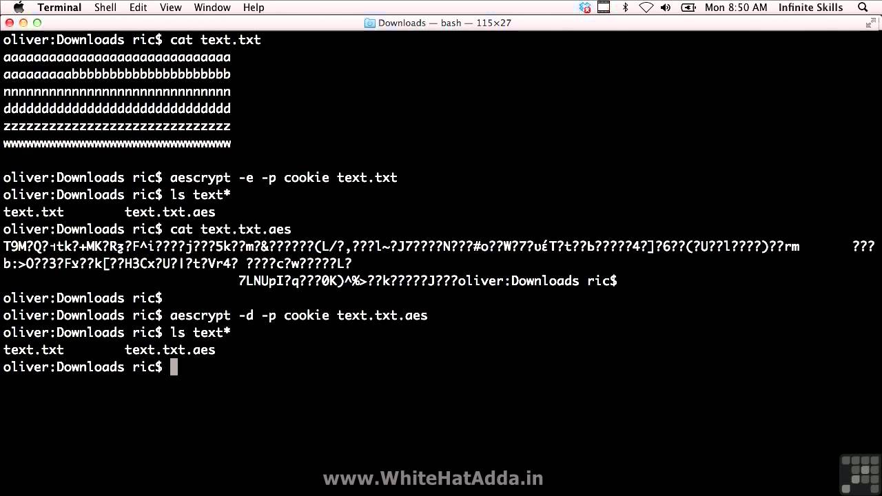 Ultimate Ethical Hacking Guide: 29 Types of Cryptography ๐