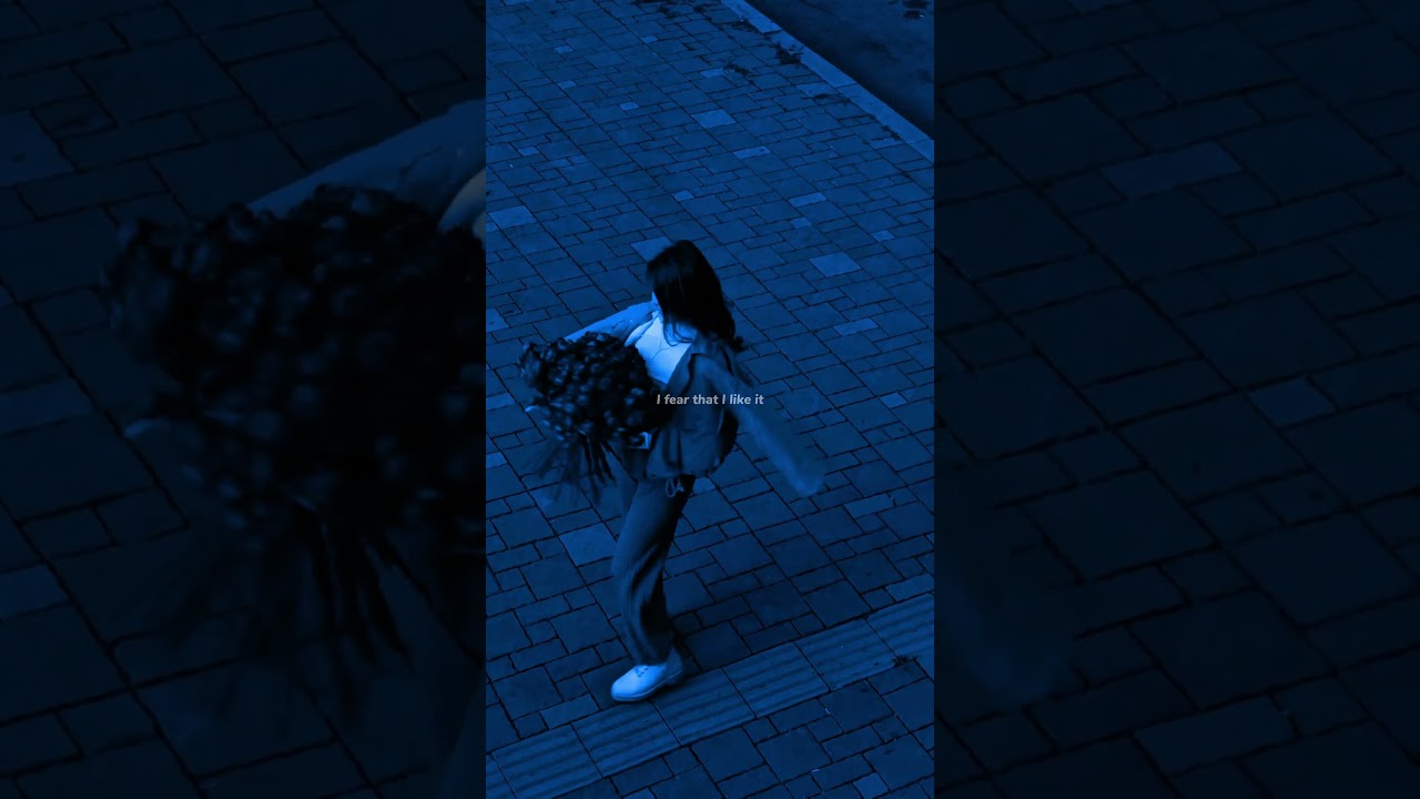 Sugar & Brownies by DHARIA 🎶 – Aesthetic Lyrics for WhatsApp & Reels