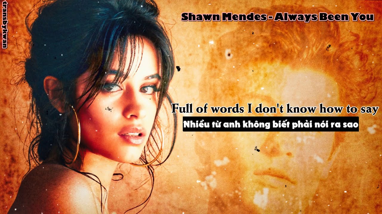 Always Been You - Shawn Mendes (VietSub) 🎶 | Heartfelt Love Song Preview