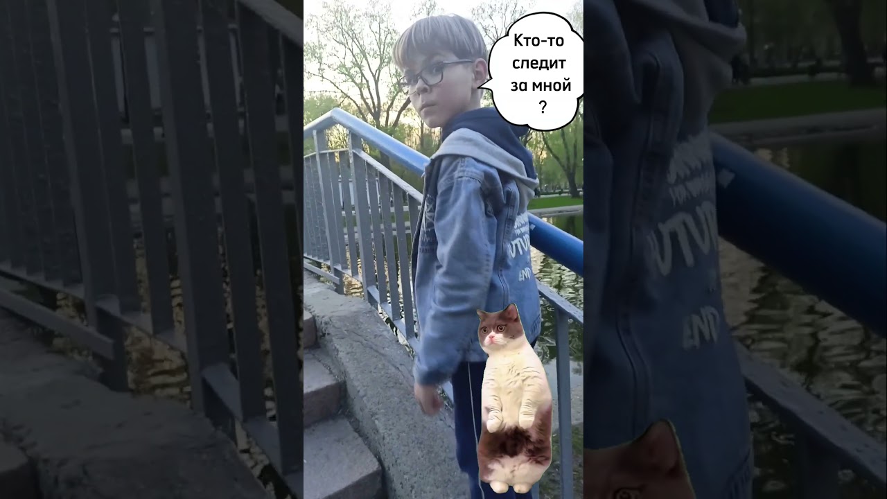 Шпионская история с котами 😄