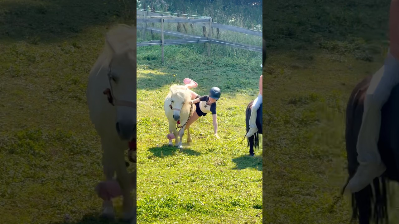 Unexpected Pony Moment! ππ΄