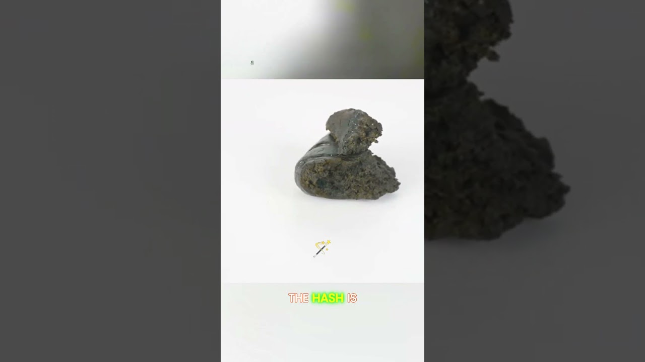 Hillside Pharms: Boutique Afghan Hash & Live Resin Gummies 🌿