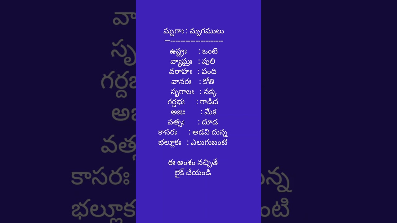 సంస్కృత భాగం 14: అర్థం, ఉపయోగాలు మరియు ముఖ్యాంశాలు 📝
