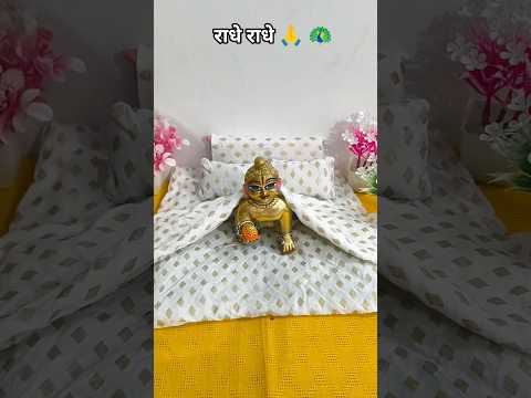 लडडू गोपाल सुबह की सेवा #laddugopal #trending #explore #ytshorts #viralshorts #short#manoramakumari