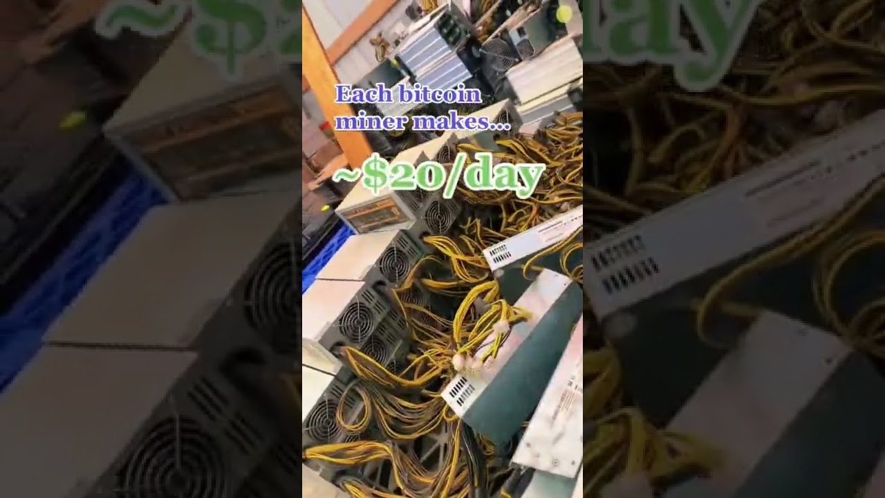 Discover the Profits Behind Multi-Million Dollar Bitcoin Mining Farms 💰