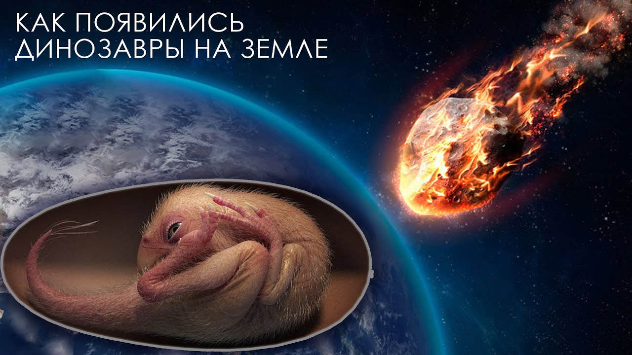 Истина о появлении динозавров 🦕
