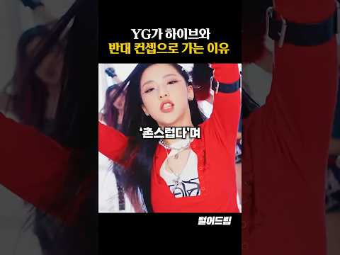 YG가 하이브와 '반대 컨셉'으로 가는 이유