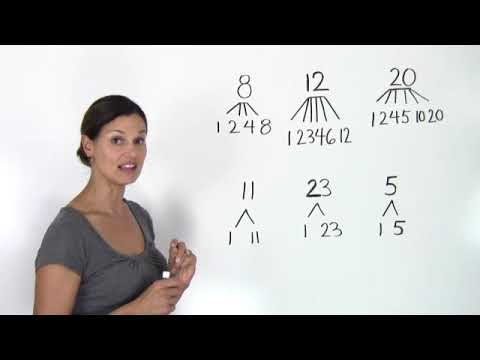 Grade 5 - An introduction to prime and composite numbers