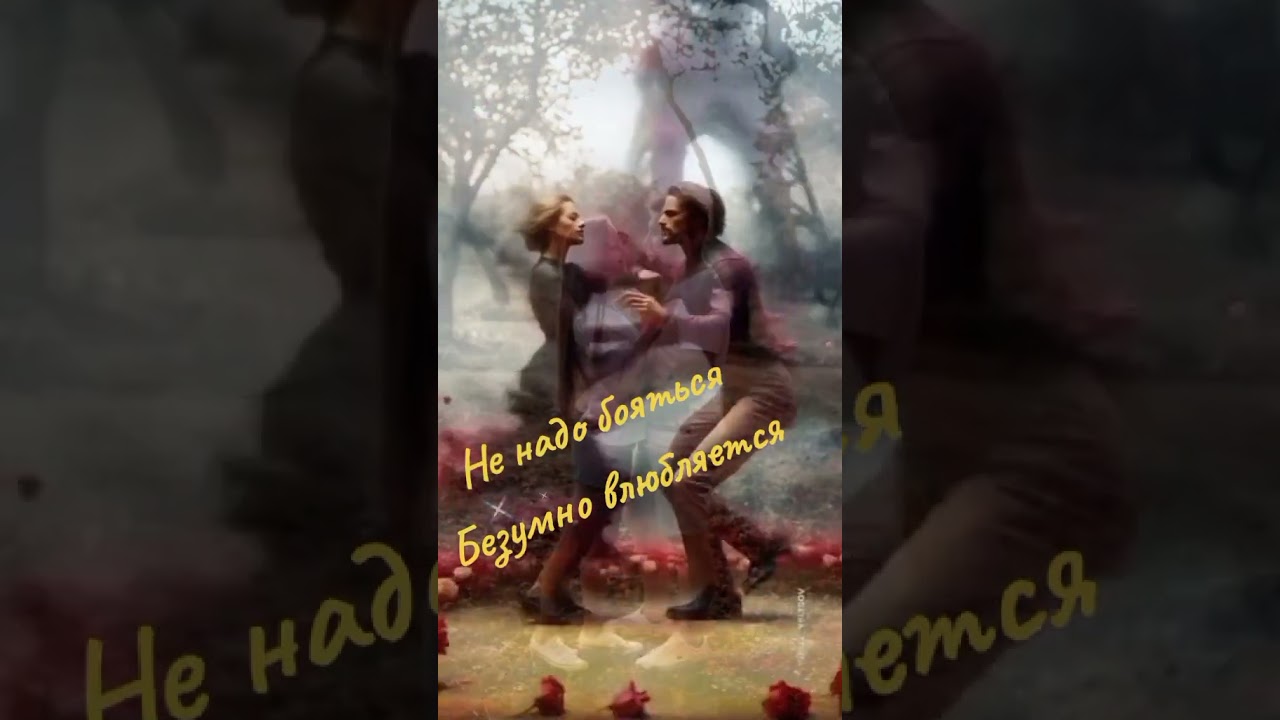 Красивые песни о любви и душе 🎶