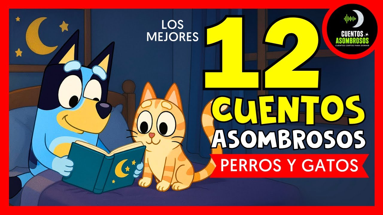 Cuentos Infantiles de Perros y Gatos 🐶🐱