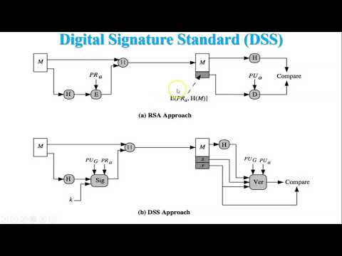 Digital Signature Algorithm (DSA) in Network Security
