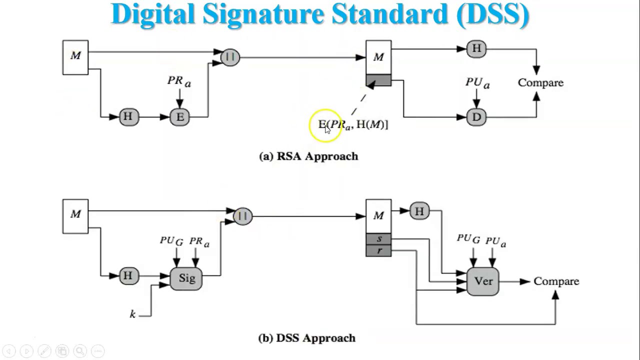 Understanding the Digital Signature Algorithm (DSA) for Enhanced Network Security 🔐
