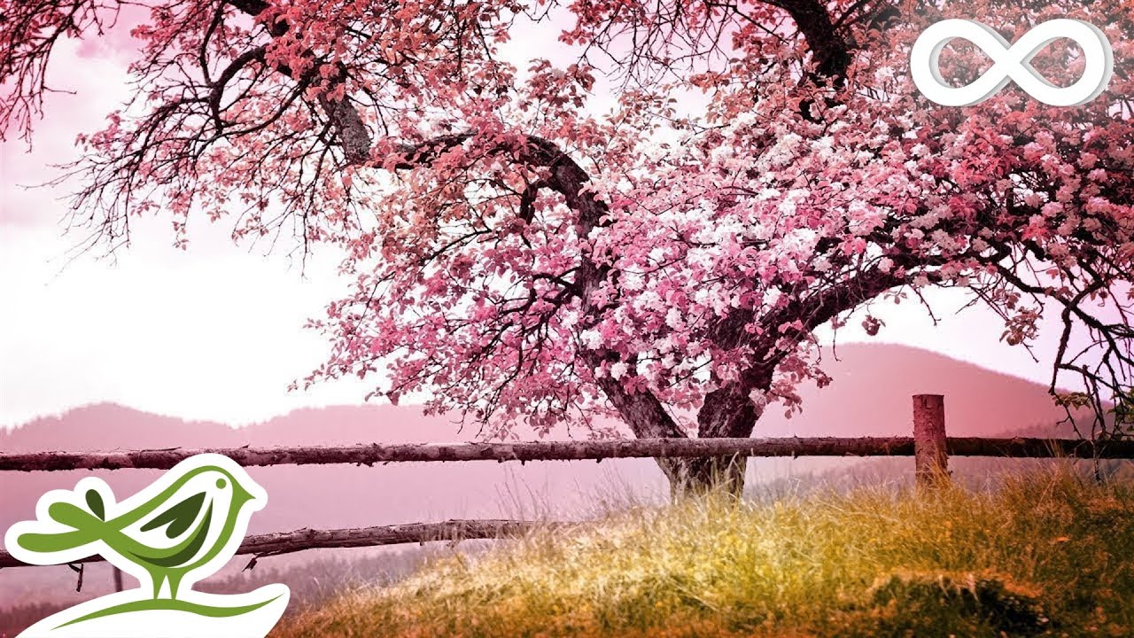 7 Hours of Soothing Sleep & Piano Music ๐ถ