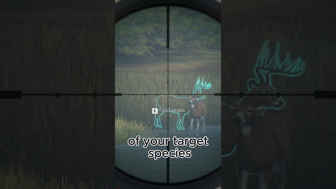 Herd Management in 30 Seconds 🦌