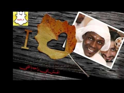 ابو الهش مقدمة مسلسل هوامير الصحراء