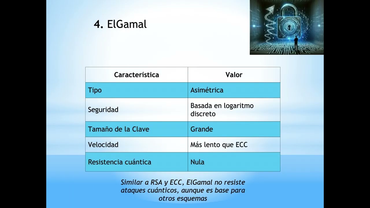Cryptographic Algorithms: AES, RSA, ECC, ElGamal, Homomorphic Encryption, and Lattices