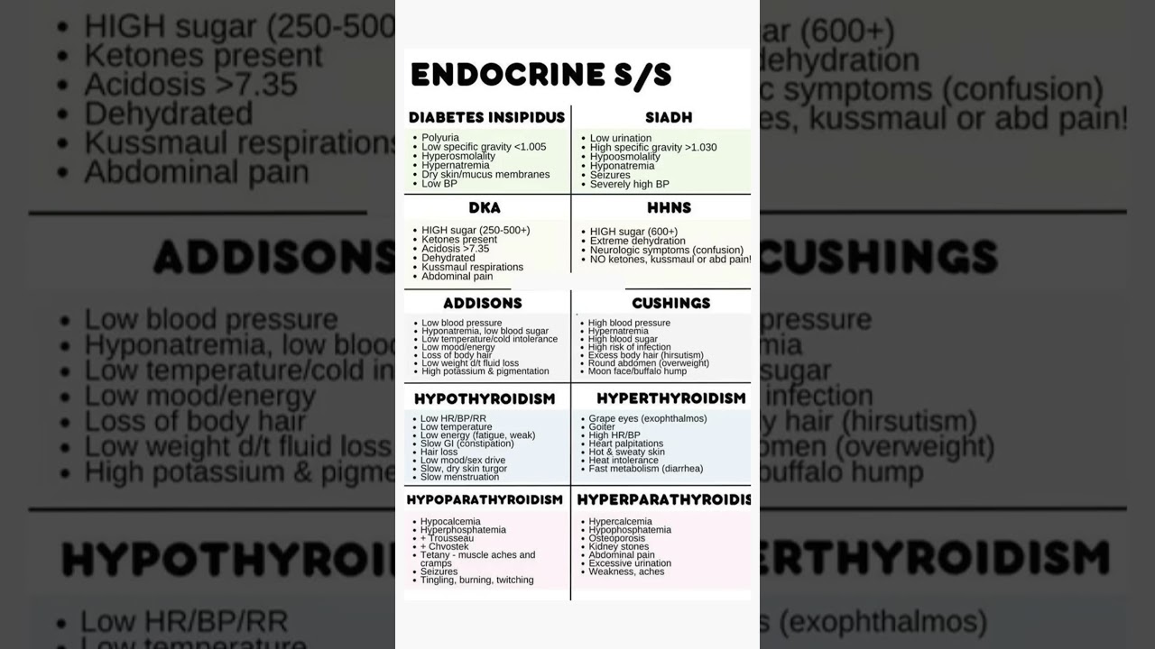 Endocrine System Signs & Symptoms 🩺