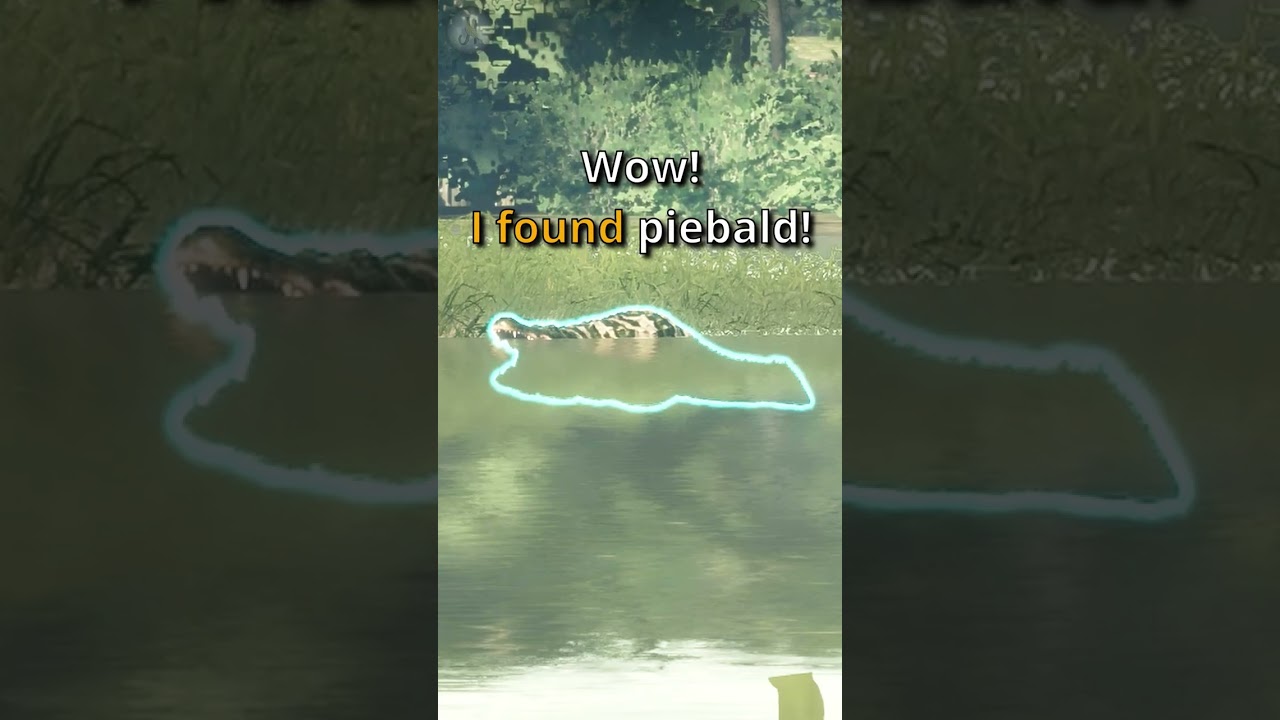 Rare Piebald Alligator Hunt 🐊 in The Hunter: Call of the Wild