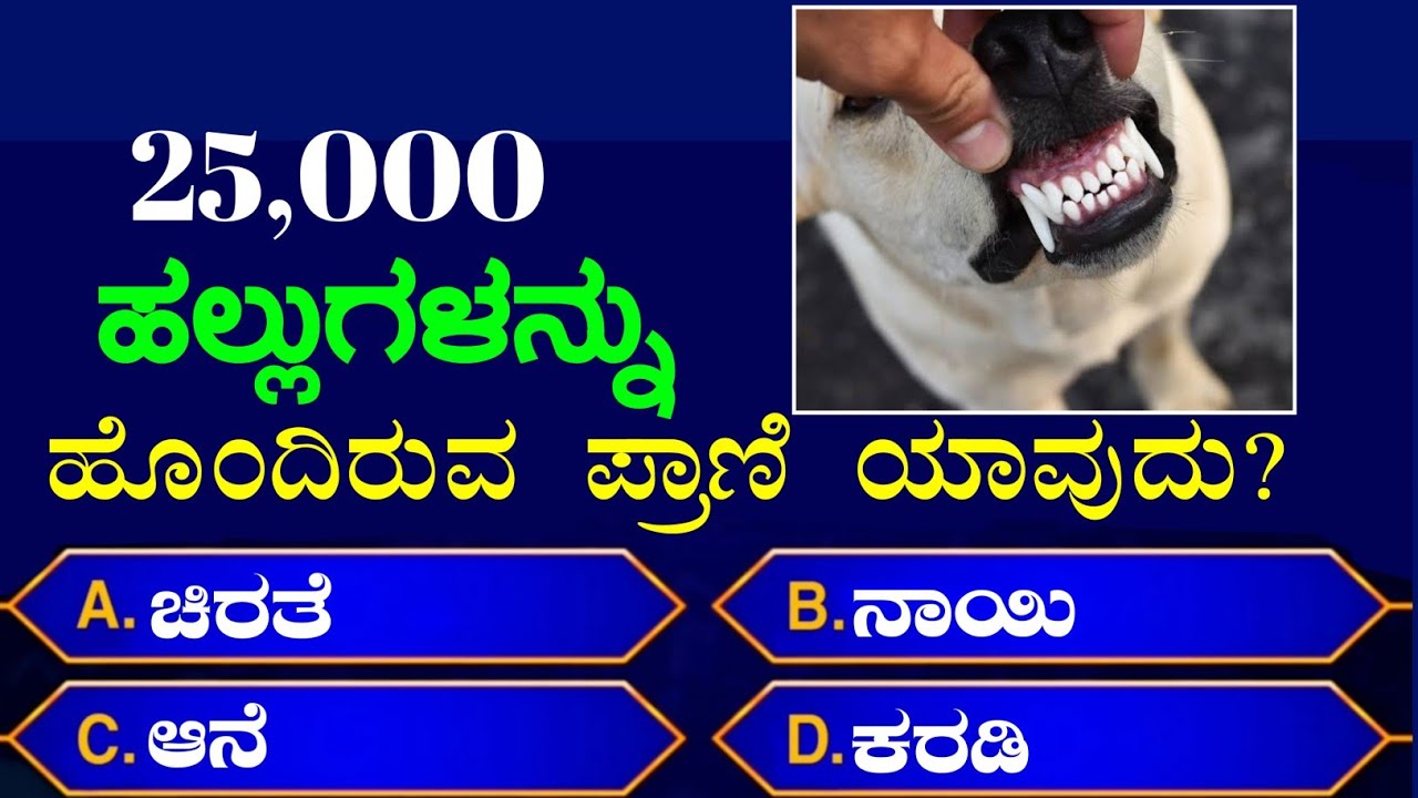 ಸಾಮಾನ್ಯ ಜ್ಞಾನ ಪ್ರಶ್ನೆಗಳು ಕನ್ನಡದಲ್ಲಿ 🧠