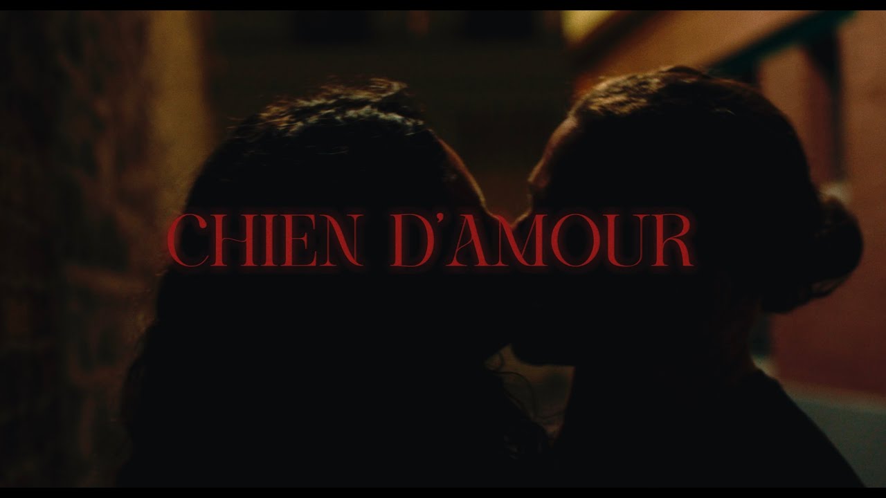 Bey - Chien D'amour (Official Clip) 🎶