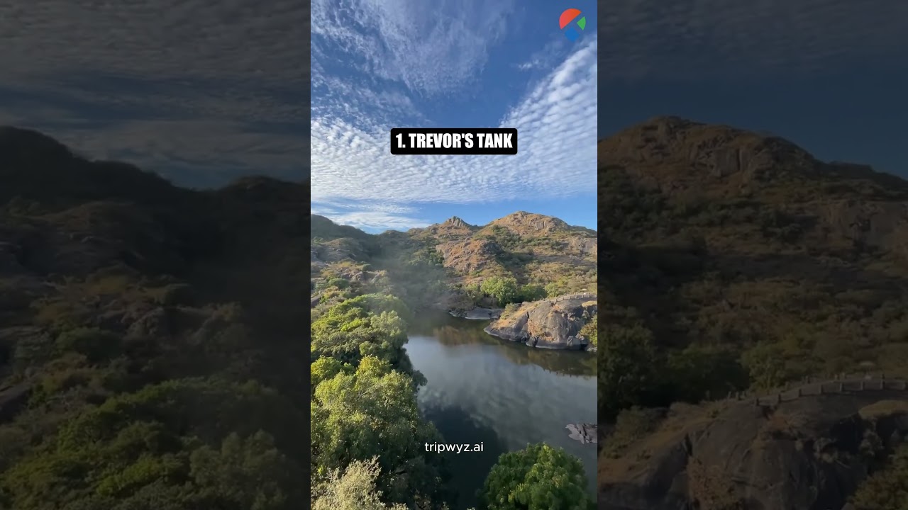 Mount Abu Travel Guide: Top 5 Must-Visit Spots 🚗