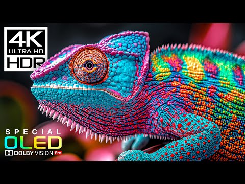 INSANE 4K Videos at 120fps | 4K HDR Dolby Vision (8K/4K TV)