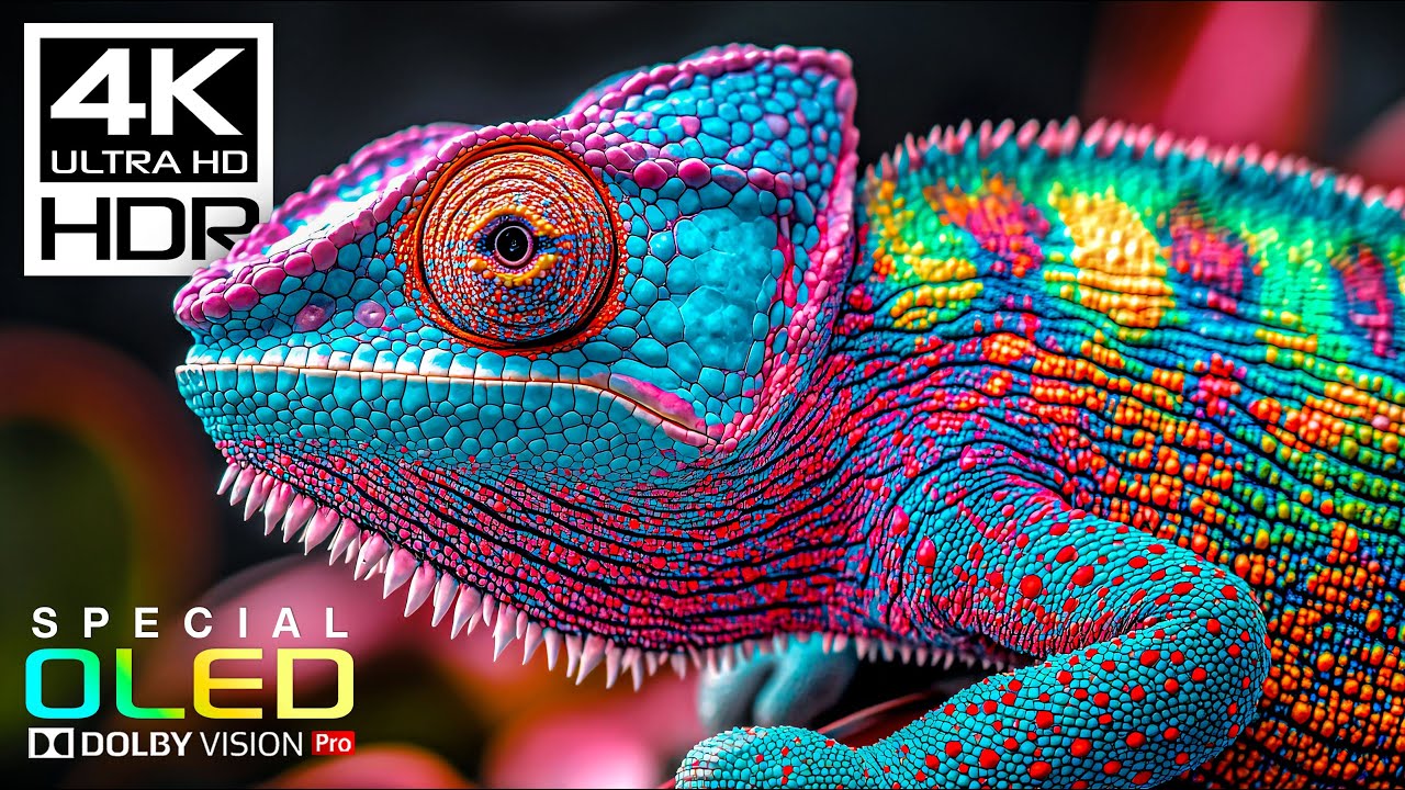 Experience Stunning 4K HDR Dolby Vision Videos at 120fps for Relaxation & Focus 🎥