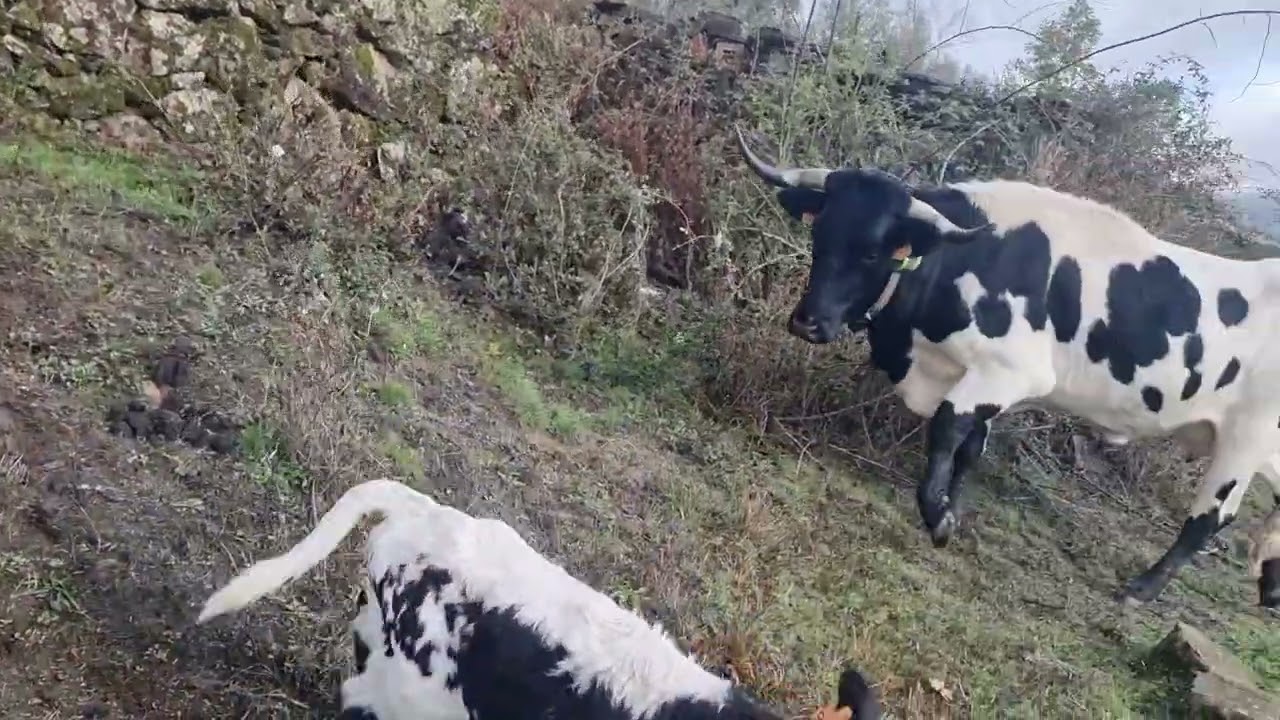 ¡Celebra la Semana de Nacimiento con Nosotros! 🎉