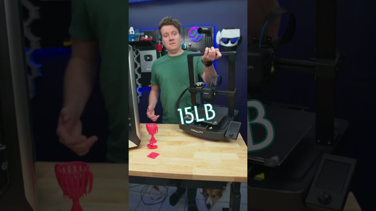 Expensive vs Affordable 3D Printers: Which One Suits You? 💡