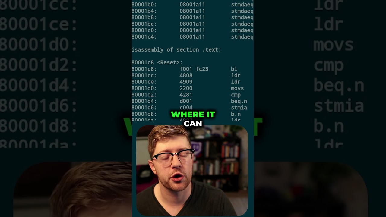 Do ARM Processors Have Thumbs? 🤔