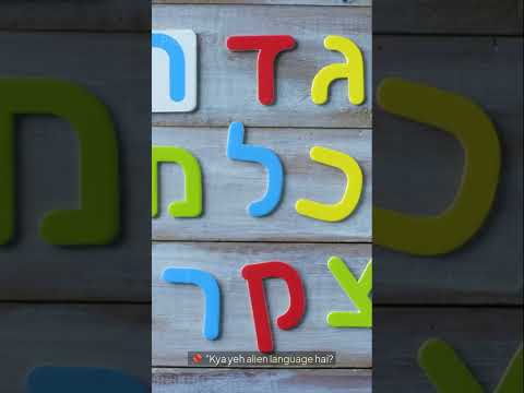 The Voynich Manuscript  600 Years of Mystery