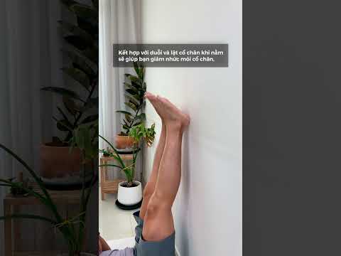 Tư Thế Yoga Gác Chân Lên Tường: Lợi Ích, Lỗi Sai, và Hướng Dẫn Định Tuyến | Nguyên Yoga