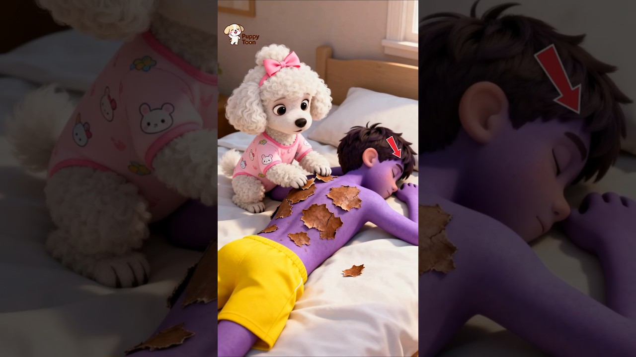 Main Pasir di Terik Matahari 🐶