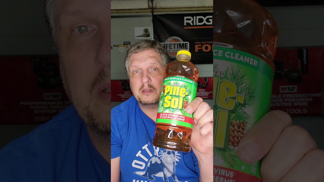 Effective DIY Method to Eliminate Mice